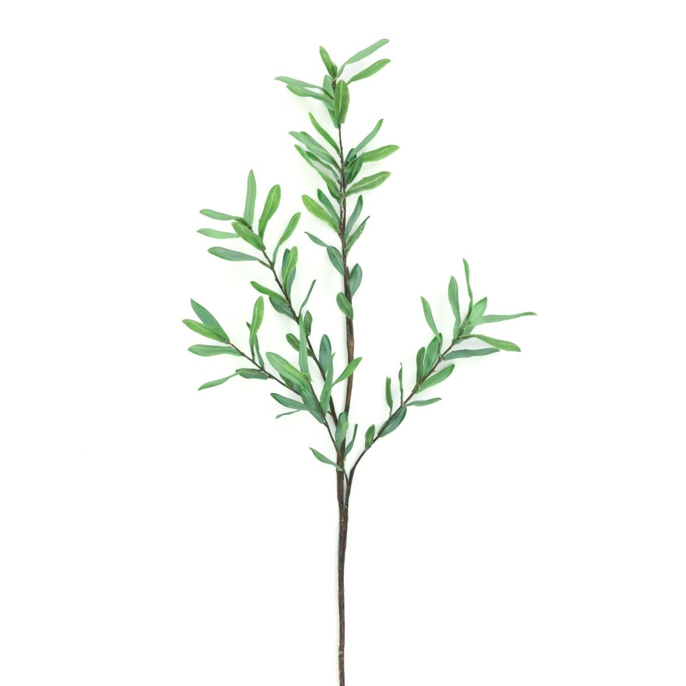 39" Ollie Olive Branch