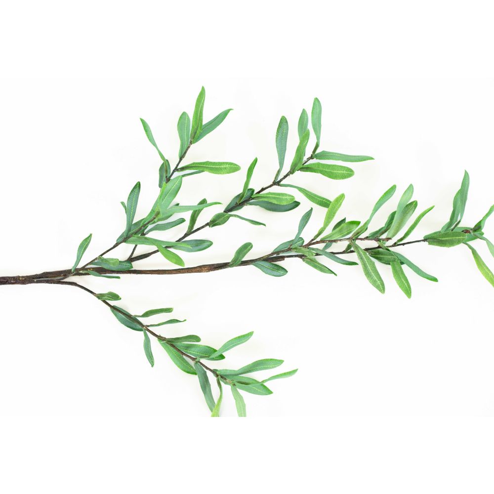 39" Olive Branch — Green | Ollie Olive Collection